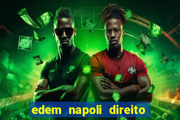 edem napoli direito constitucional pdf